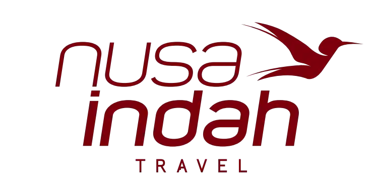 travel icon
